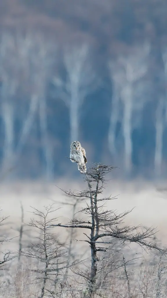 今日は「敬老の日」