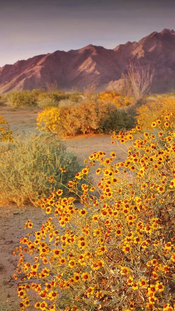 Even the hottest places are cool!