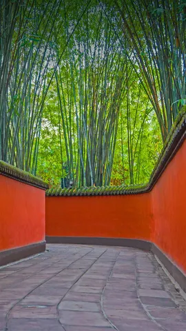 武侯祠内红墙和竹林掩映下的小巷，中国成都