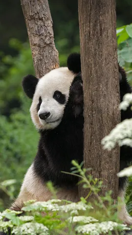 在那可爱的外表下&hellip;&hellip;