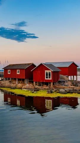 世界最臭食物之乡？