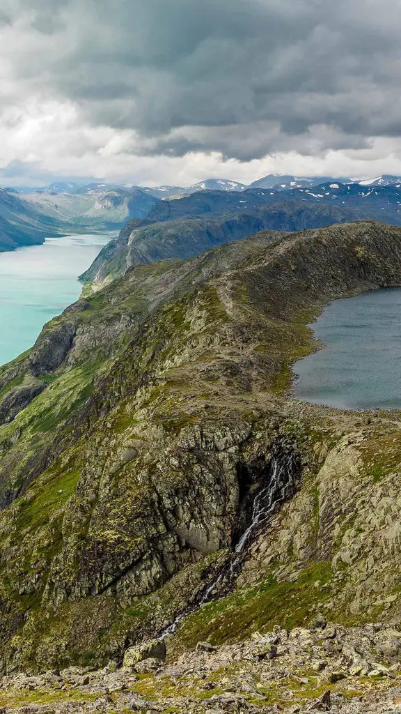 O lado selvagem da Europa