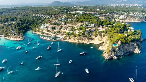 &iexcl;Velero a la vista!