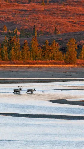 令人印象深刻的时刻