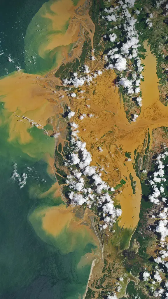 马尼亚河的卫星图像，马达加斯加