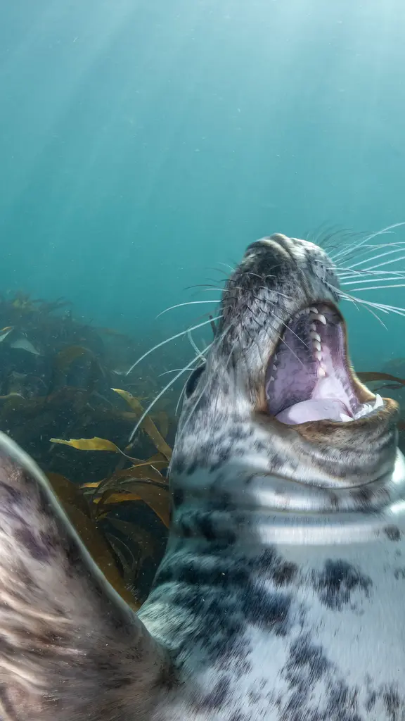 什么事这么好笑？