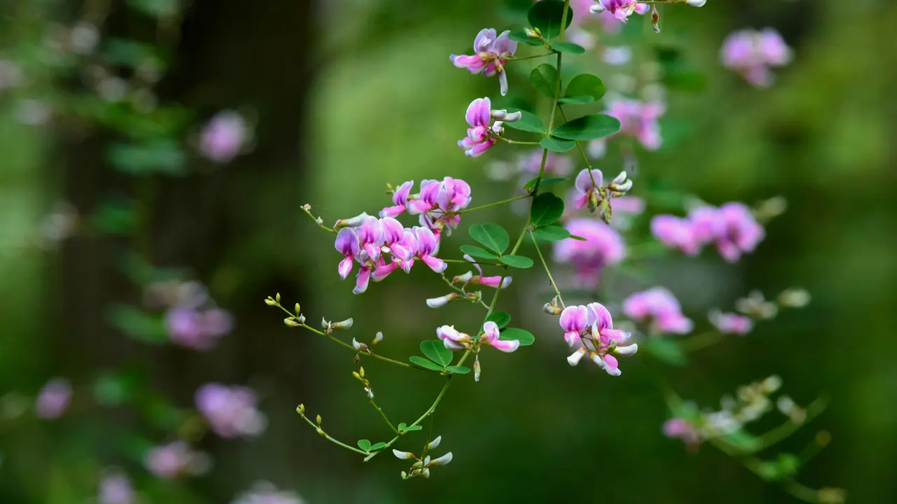 今日は秋分の日