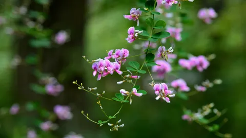 今日は秋分の日