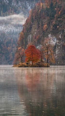 Rote B&auml;ume, klarer See, in meinem Herbst, da sprie&szlig;en Tr&auml;ume!