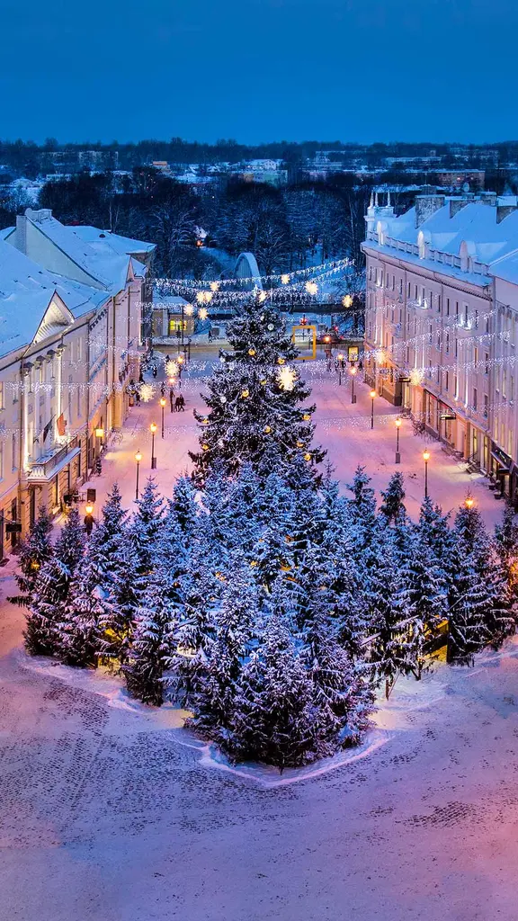 Wie treu sind deine Bl&auml;tter!