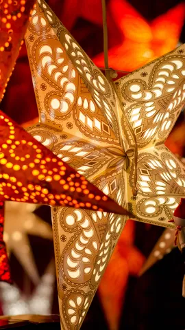 Stelle del firmamento?