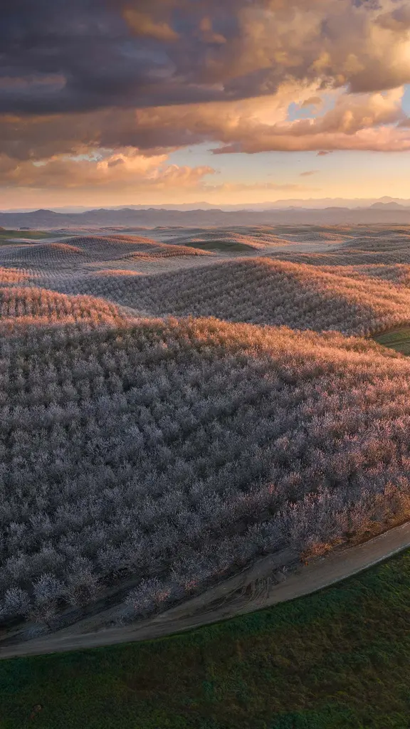 Sussurros da primavera