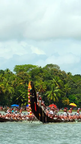 Racing the harvest tides