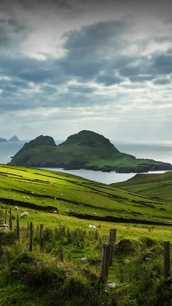 今天，让我们穿绿衣裳吧！