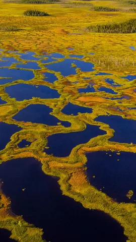 Aerial view of peatland in Martimoaapa Mire Reserve, Finland