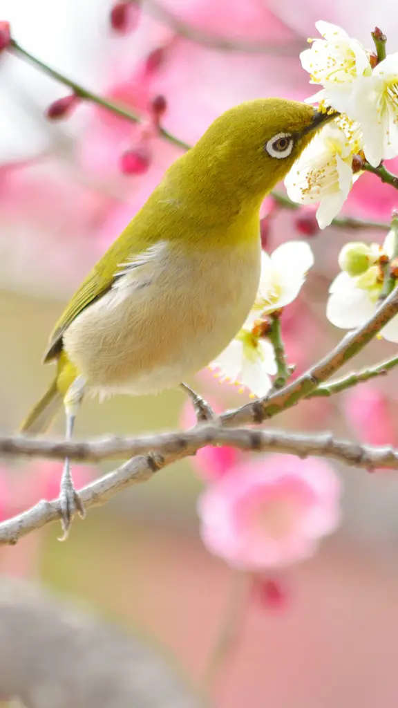 今日は｢立春｣