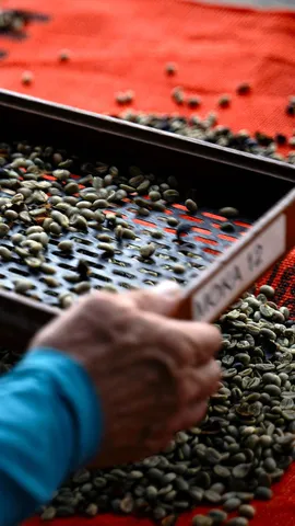 Vai um caf&eacute;zinho?