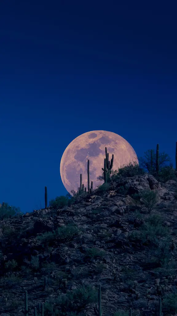 亚利桑那州空中的粉月亮