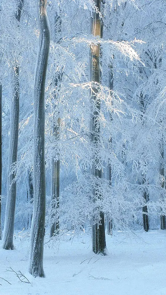 Envejecer con gracia