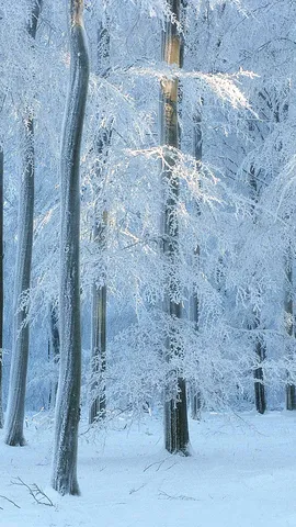 Envejecer con gracia