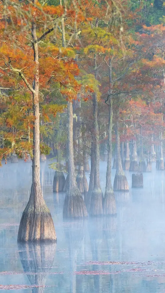 Standing tall in fall