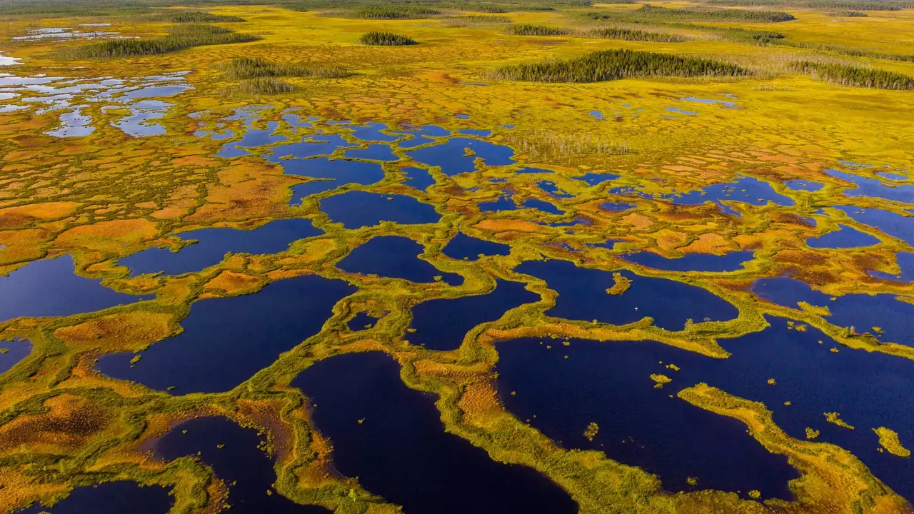 Aerial view of peatland in Martimoaapa Mire Reserve, Finland