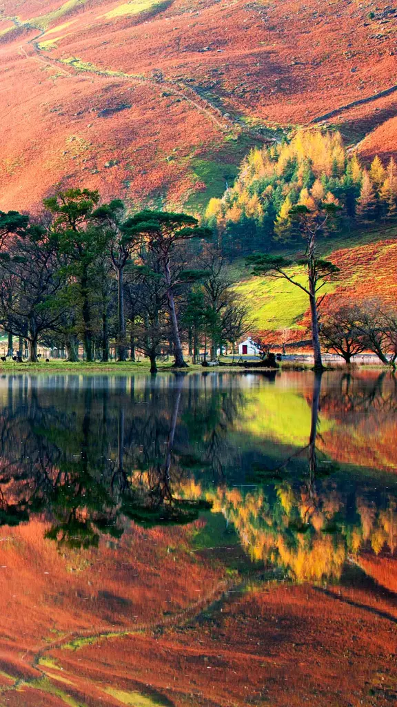 Wenn die B&auml;ume fl&uuml;stern