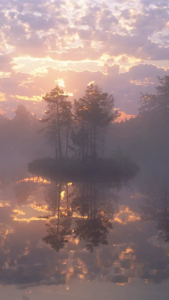 鏡のような湖に映る森の絶景