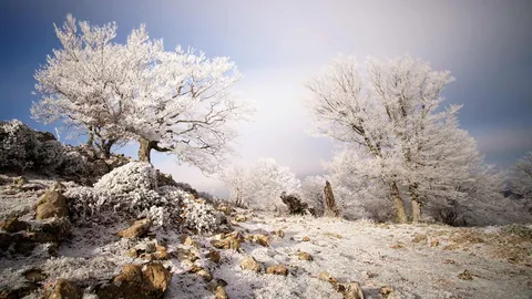 &iexcl;Vamos a tomar la fresca!