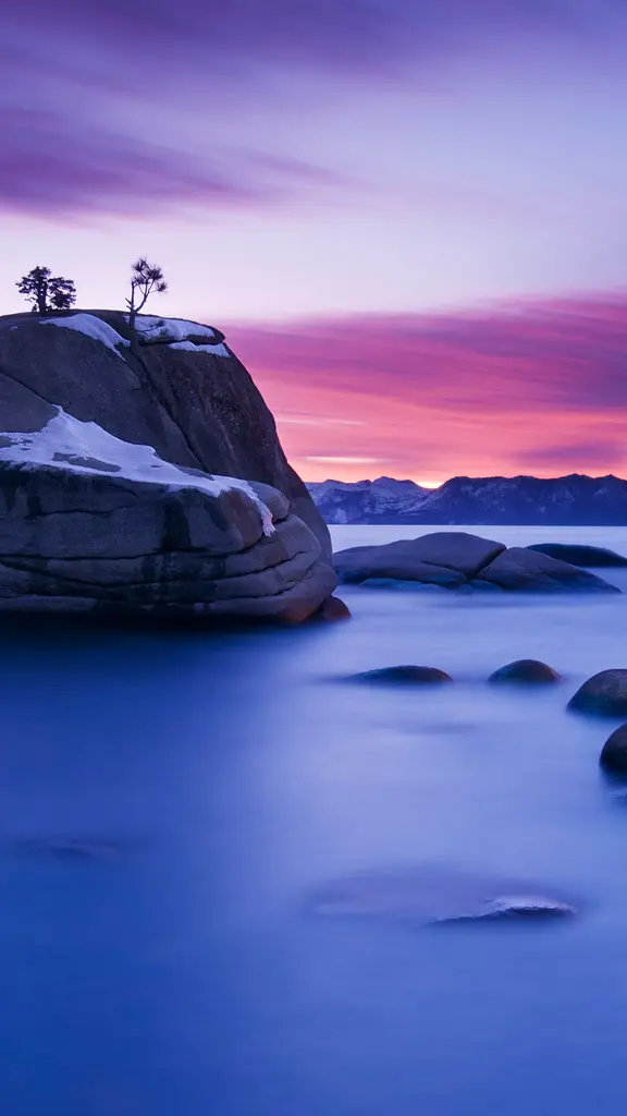 Un bonsai del tutto naturale