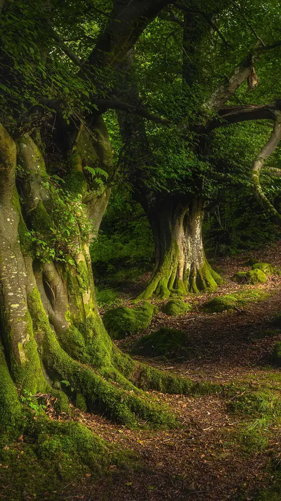Buchst&auml;bliche Weisheit