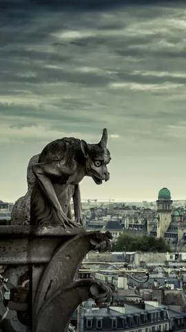 万圣节时冷冰冰的凝视