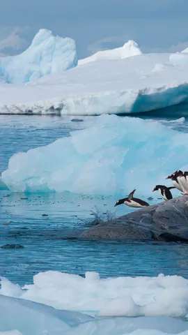 今日は世界教師デー