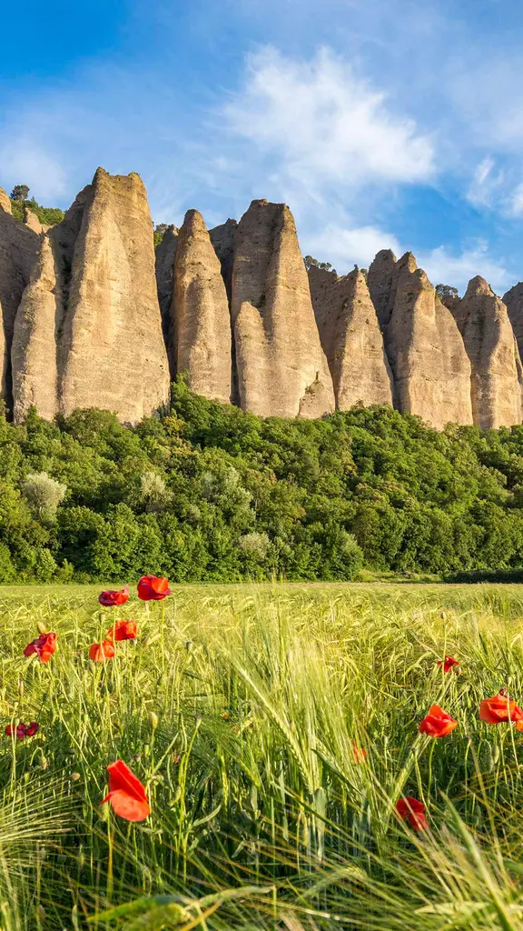 Les G&eacute;ants de la Haute-Provence