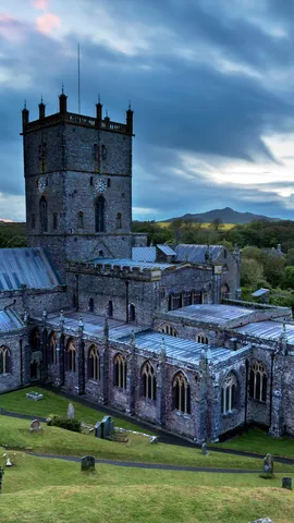 Happy Saint David's Day!