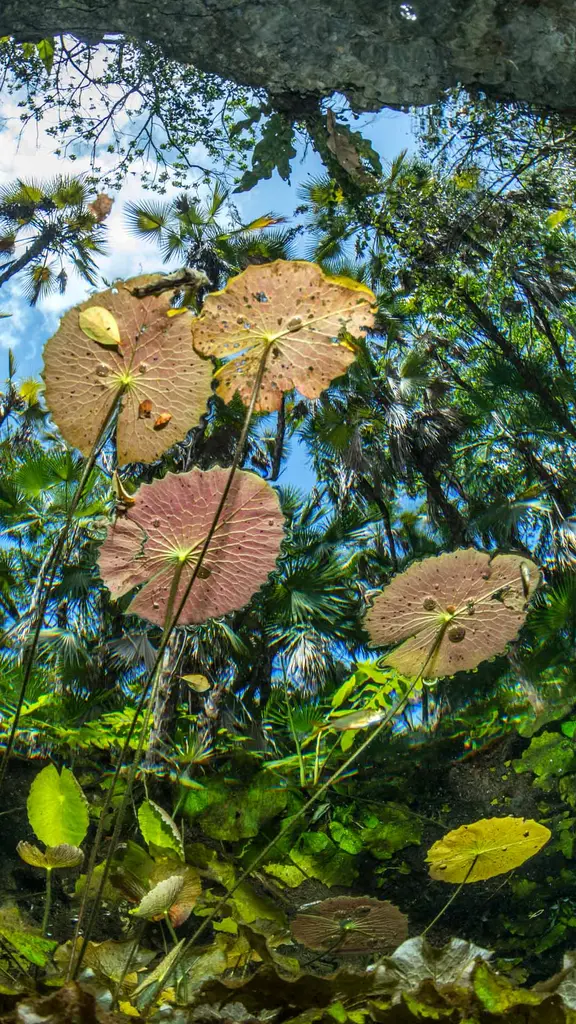 Gocce di luce nel ventre della Terra
