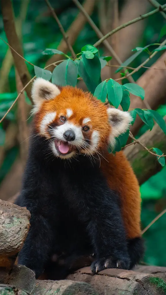 和我一起避暑吧！