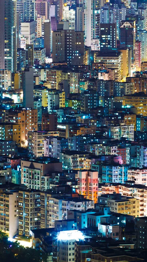 今日は世界人口デー