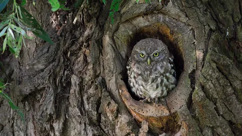 Wer hat an der Uhr gedreht?