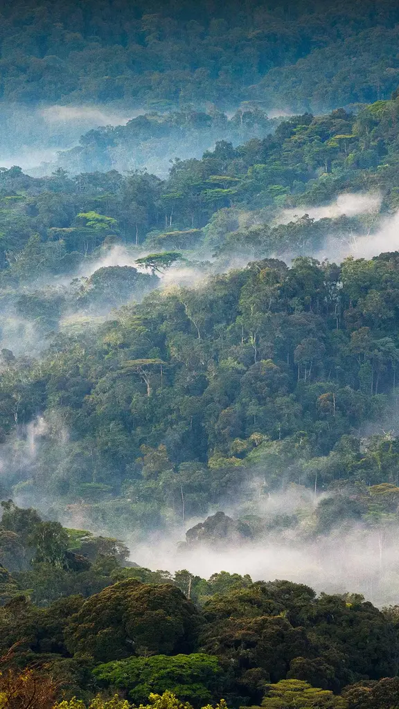 Tesouros verdes do mundo