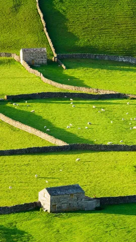 Uma terra verde e agrad&aacute;vel