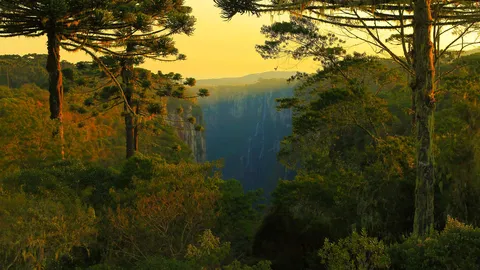 A beleza mais profunda