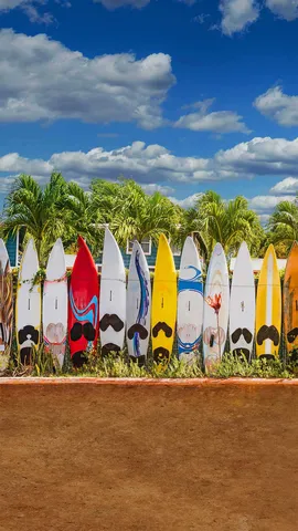 排成篱笆模样的旧滑板，夏威夷毛伊岛