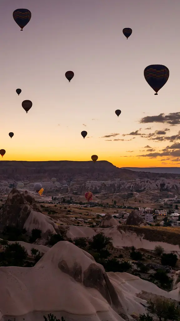 与太阳一同升起