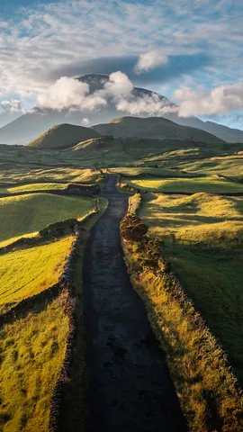 人迹罕至的一条路