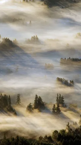Un raggio di sole nella nebbia