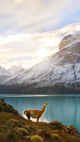 Attitude and altitude