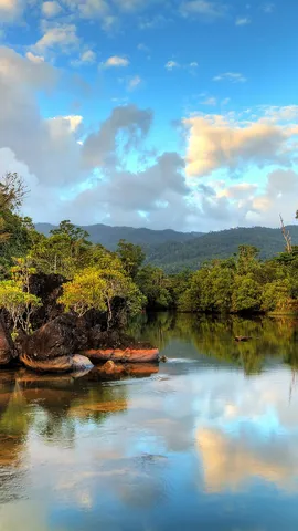 &iexcl;Viva la Tierra!