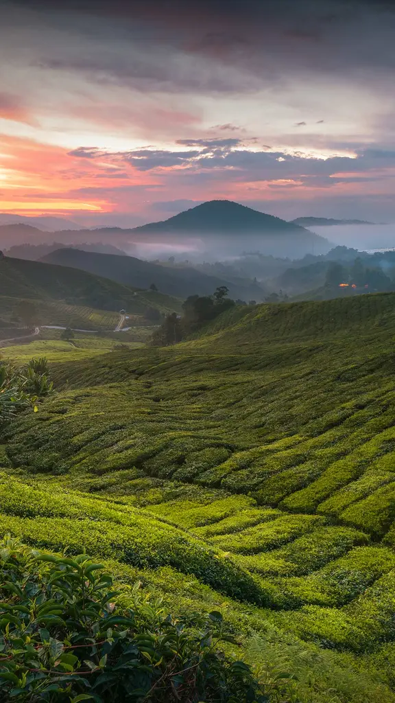 Aconchego em uma x&iacute;cara