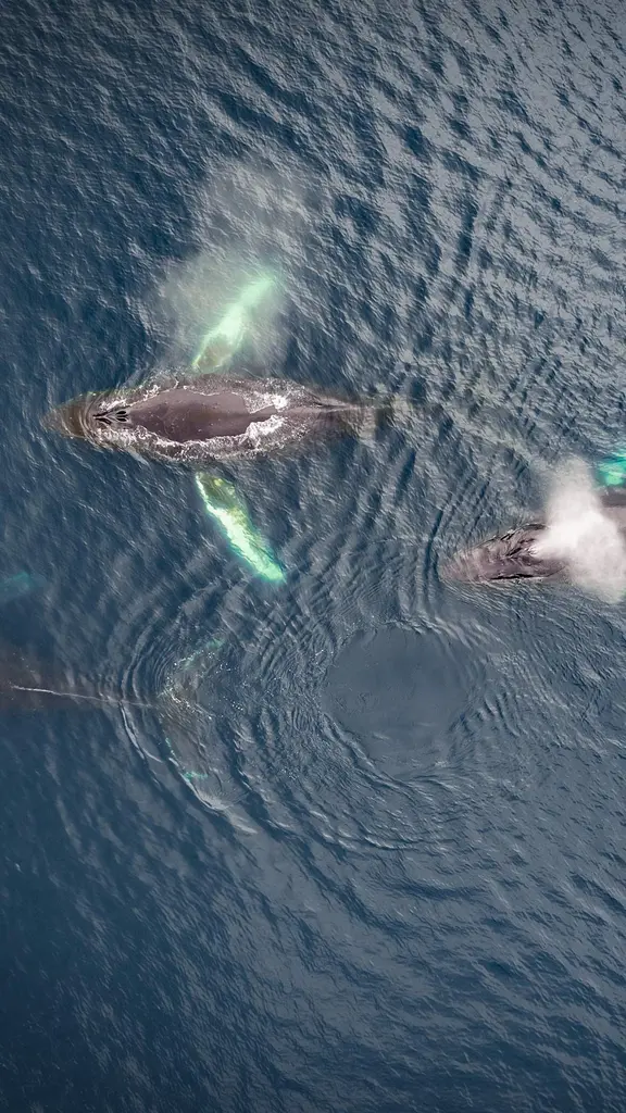 Le onde della speranza